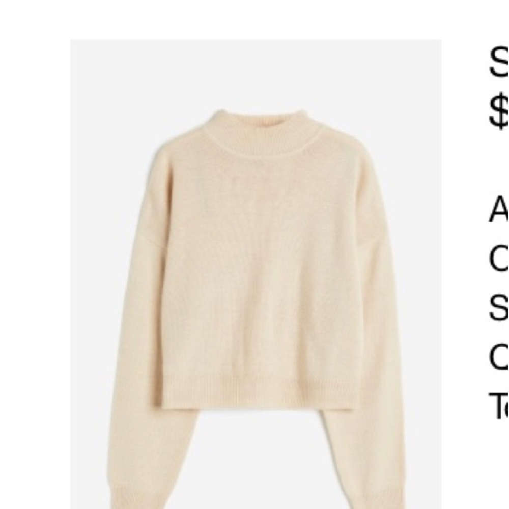 BNWT Chic Beige Slightly Cropped Sweater